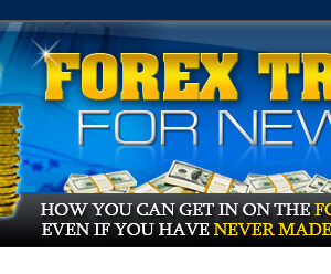 Forex Trading For Newbies